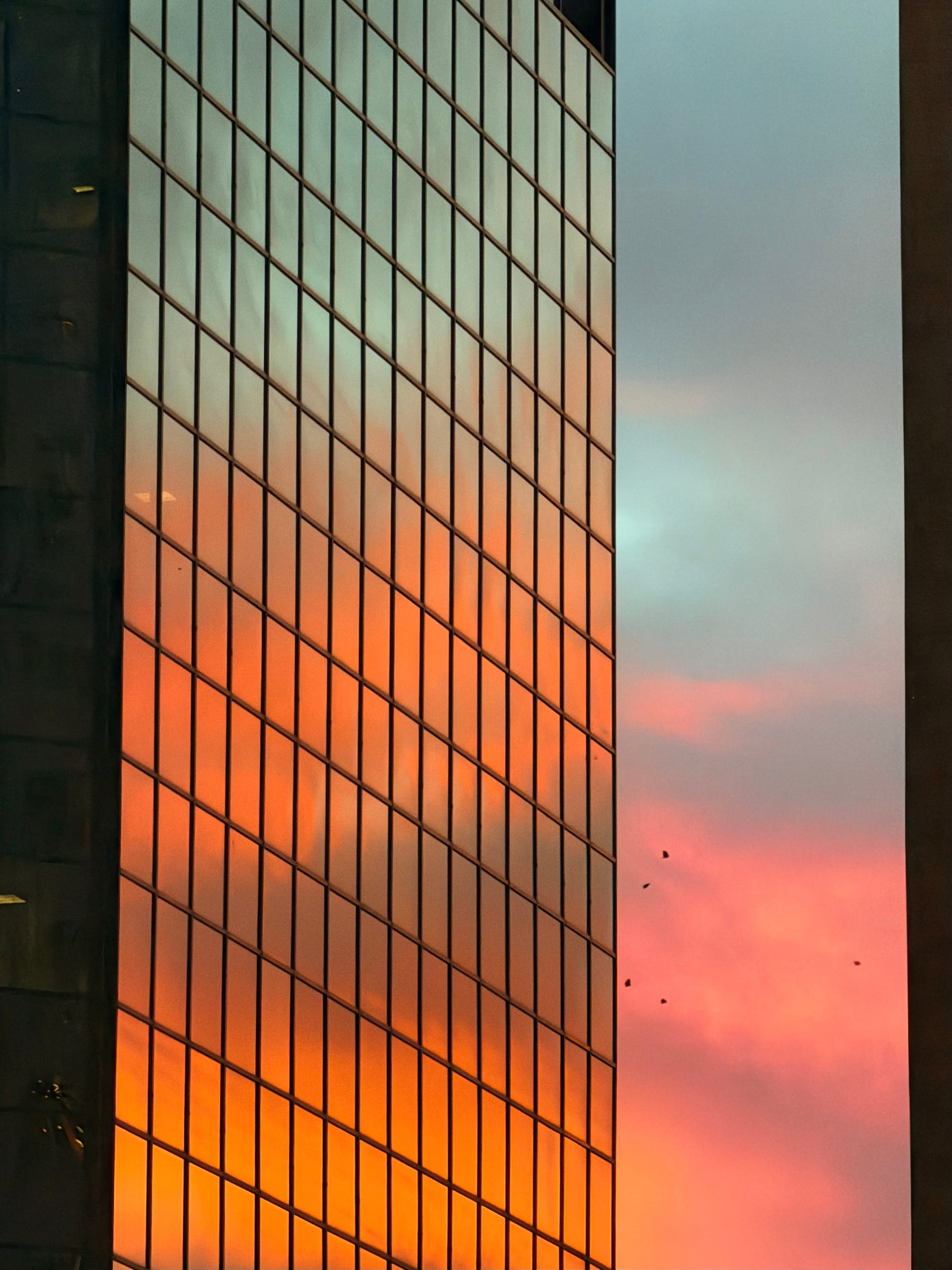 Sunset reflecting off a building